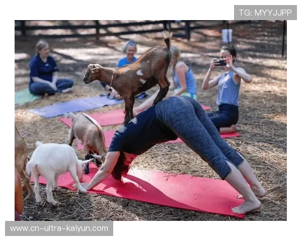 山羊体育超级联赛直播（山羊体育器材图片）sports